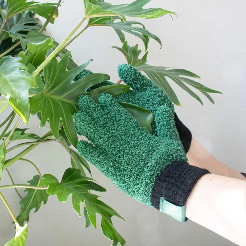 Houseplant Care Kit