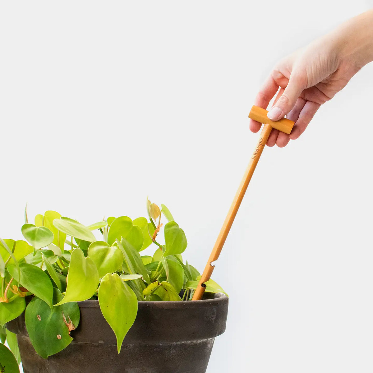 Houseplant Care Kit