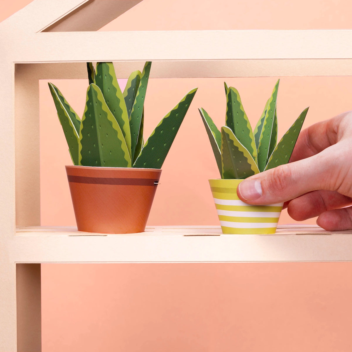 Make an Aloe Vera Paper Plant