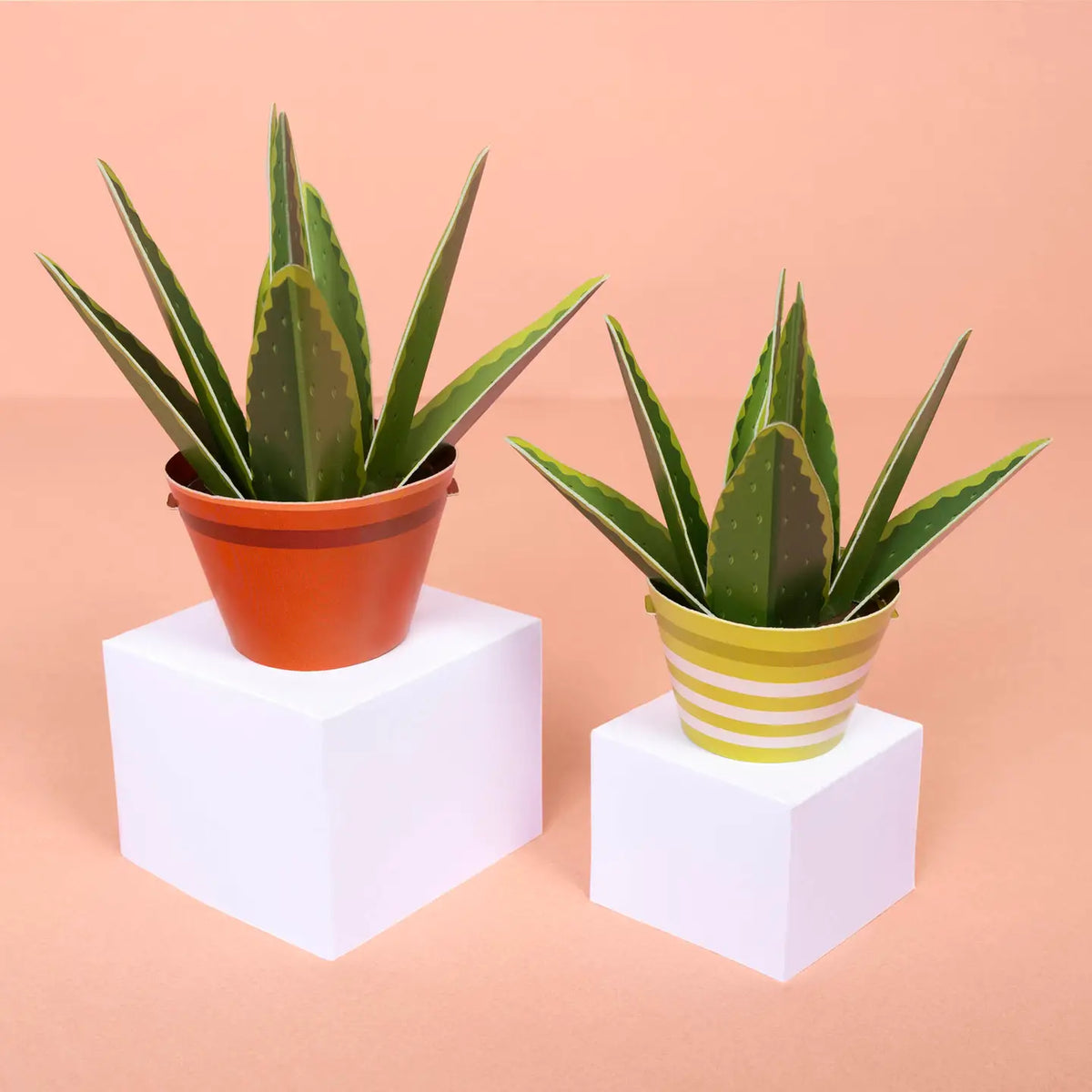 Make an Aloe Vera Paper Plant