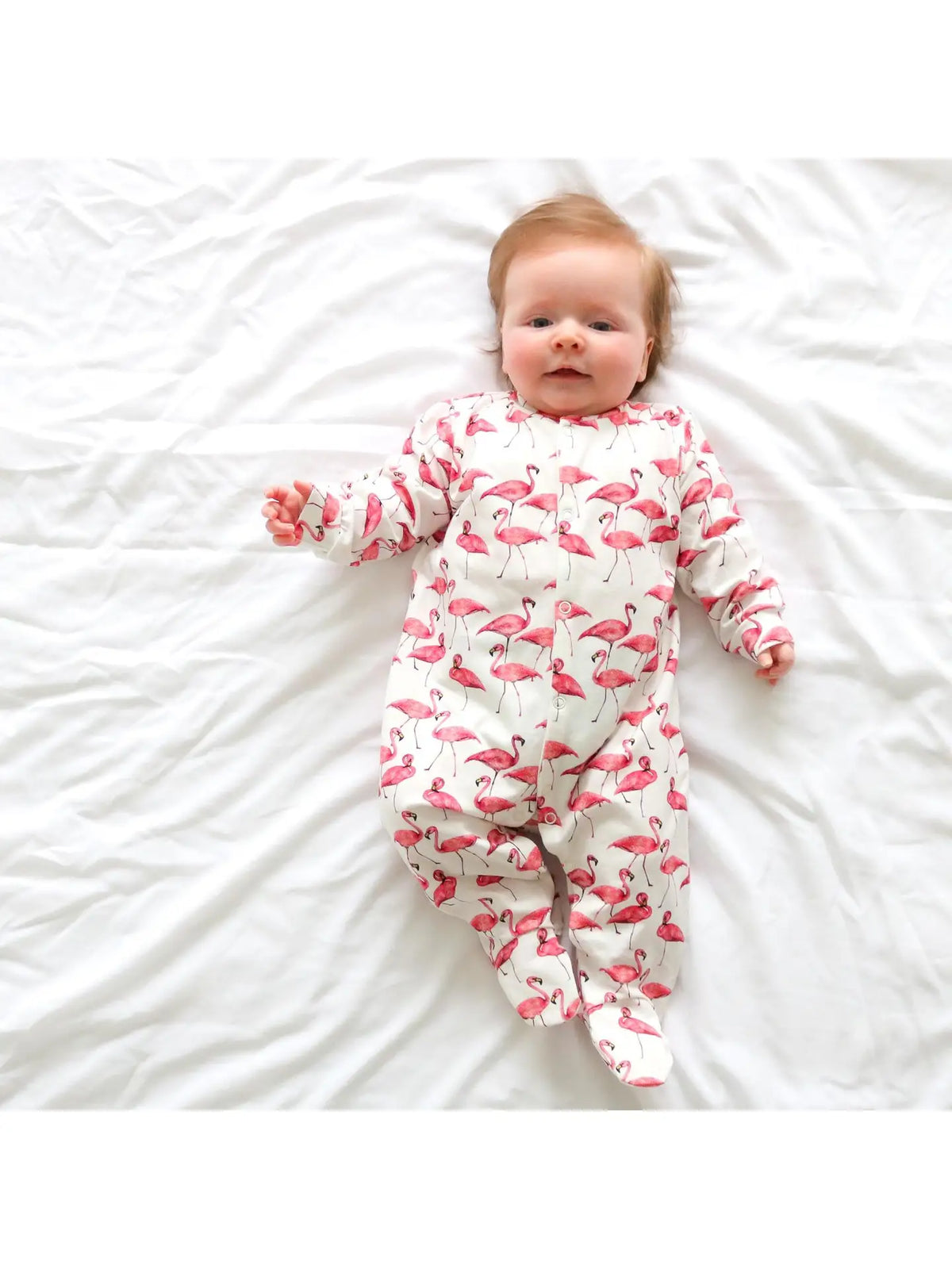 Baby Sleepsuit- Flamingos