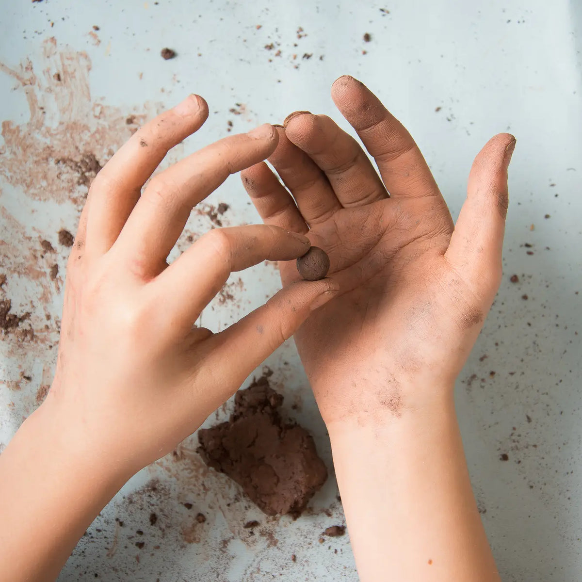 Seedball Making Kit