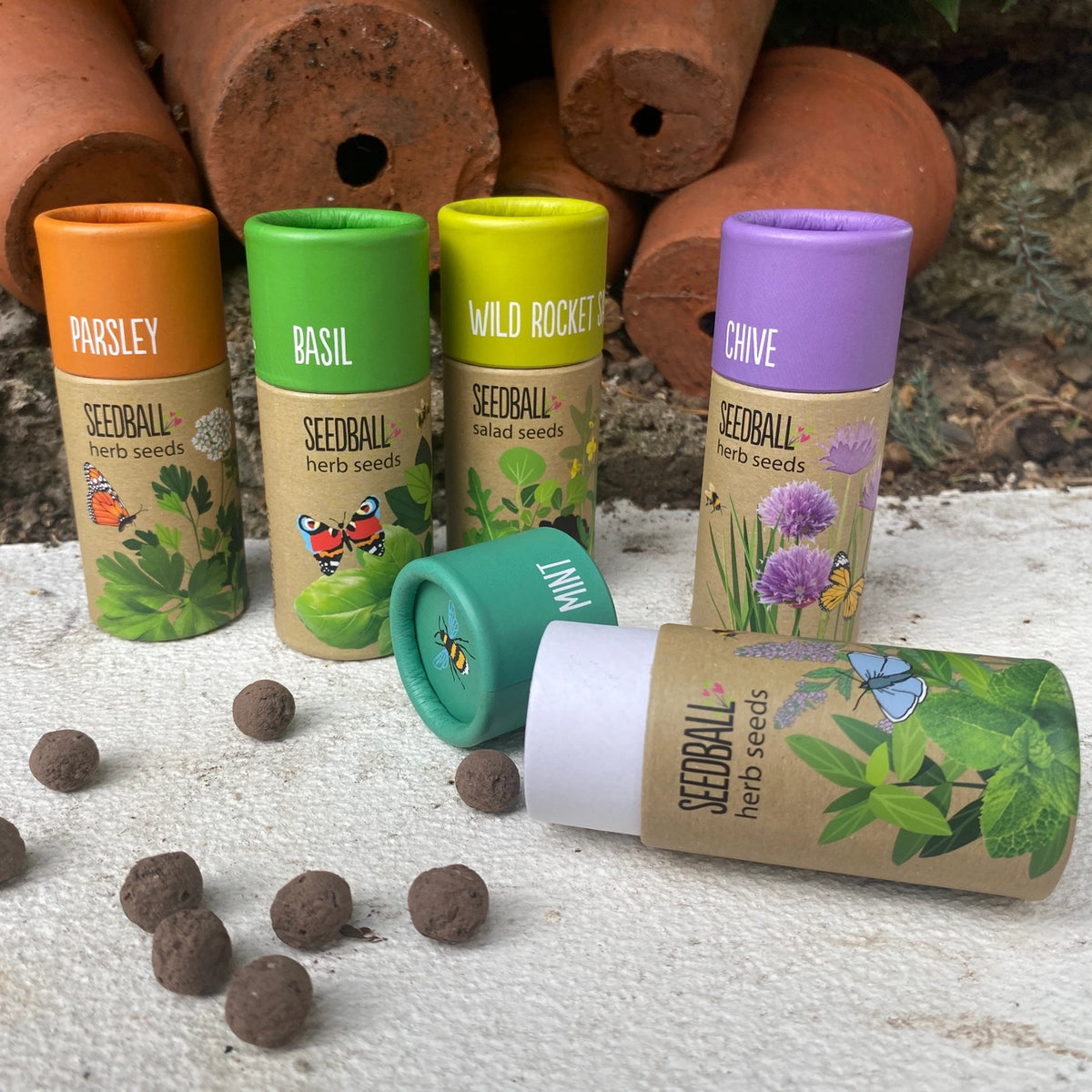 Herb Seedball tube